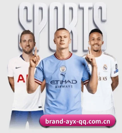 五个功能入口,赛程查询路径更短 | AYX SPORTS